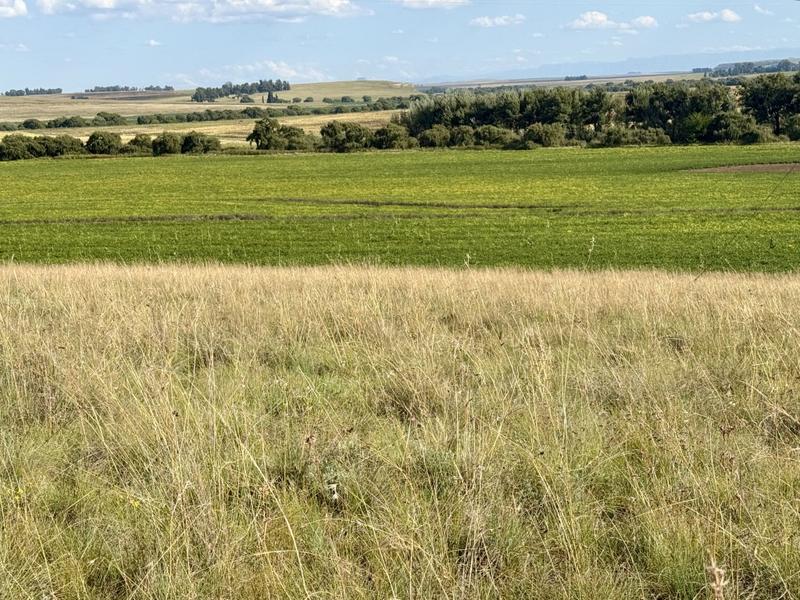 0 Bedroom Property for Sale in Harrismith Free State